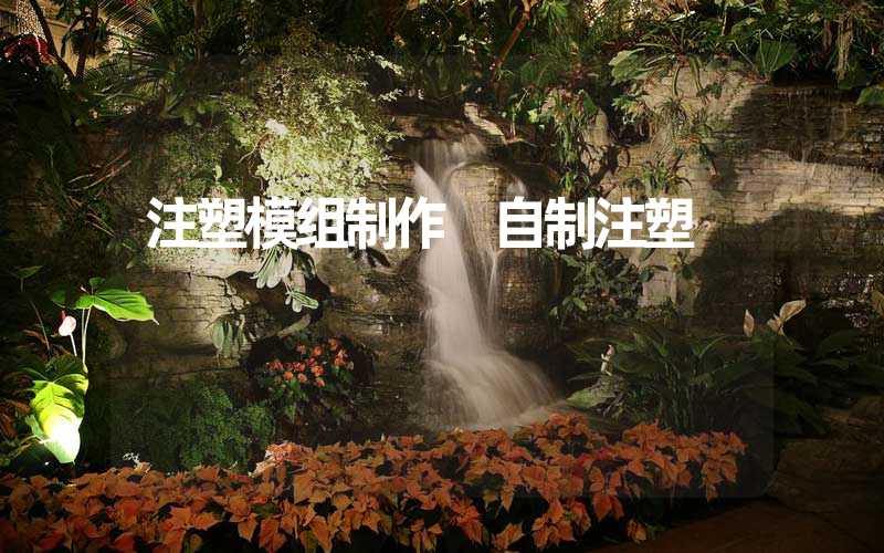 注塑模组制作 自制注塑